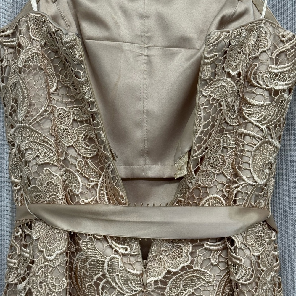 Adrianna Papell Strapless Embroidered Lace Cocktail Dress Gold Beige Size‎ 6 EUC - Picture 10 of 15
